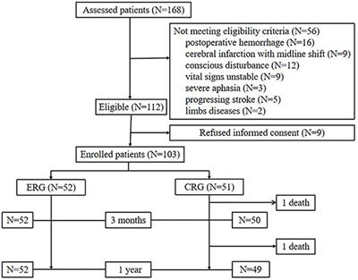 Safety and Efficacy of Early Rehabilitation After Stroke Using Mechanical Thrombectomy: A Pilot Randomized Controlled Trial